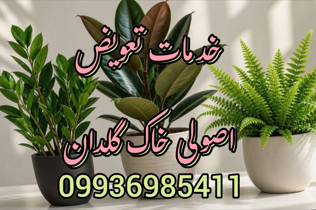 باغبانی توحید /09197354212/