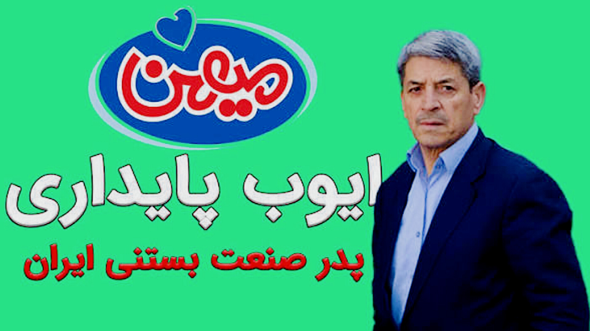 کتاب کارآفرینان معاصر ایرانی | راز امپراتوری میهن
