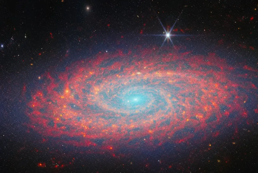 NGC 2090