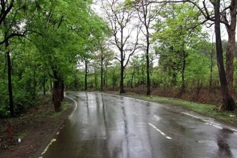 عکس پست