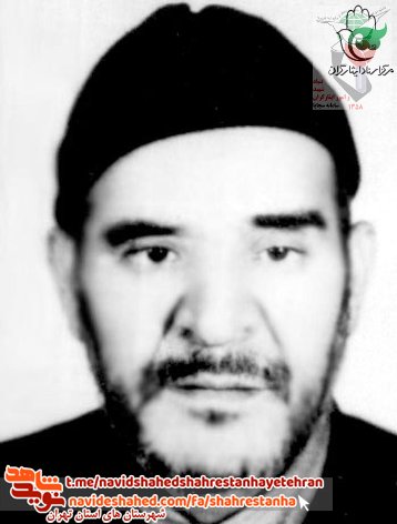 شهید سیدحیدر نبوی