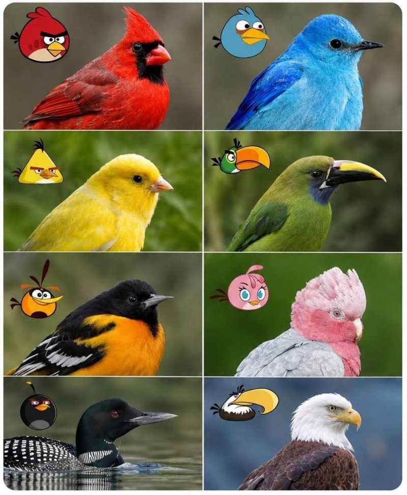 [Hit_Posts_Title]