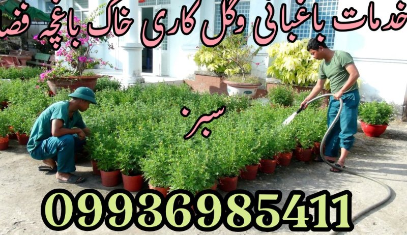 خدمات باغبانی سیار شهرک غرب تهران و باغبان...