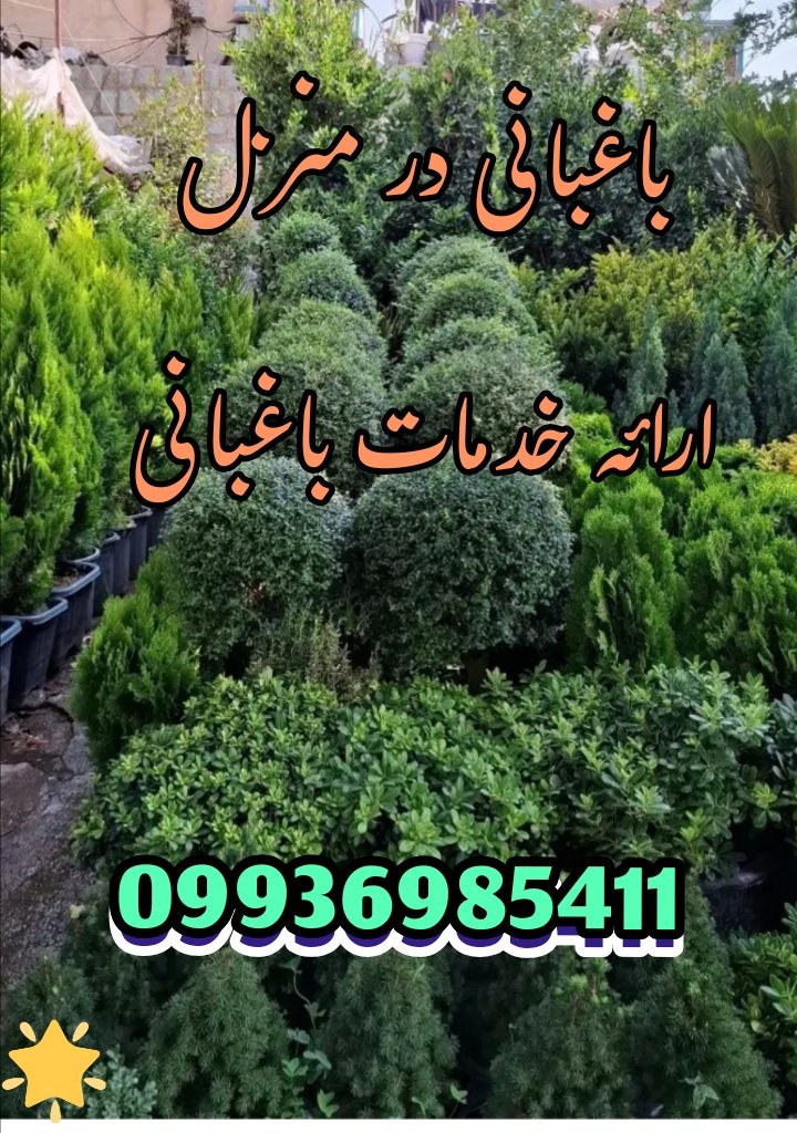 عکس پست