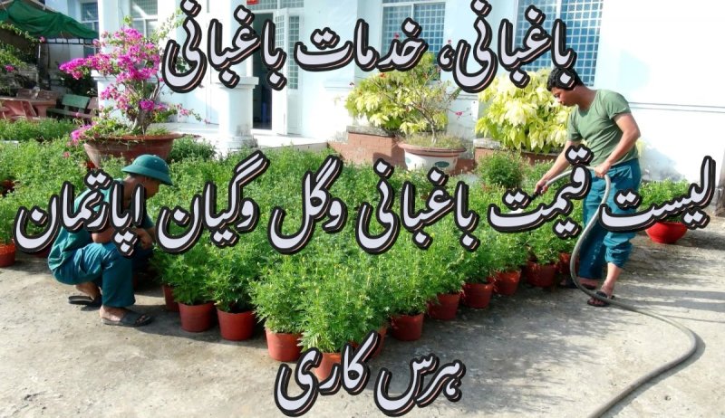 عکس پست