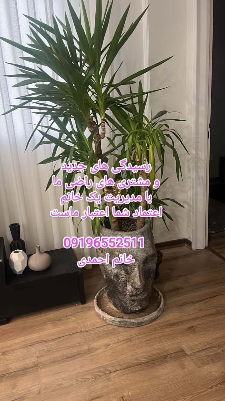 عکس پست