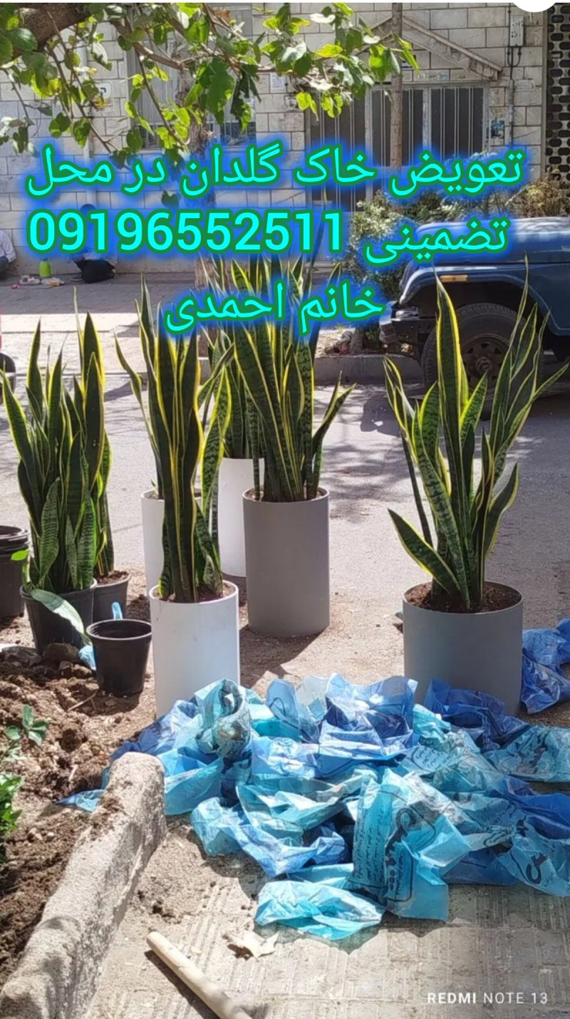 عکس پست