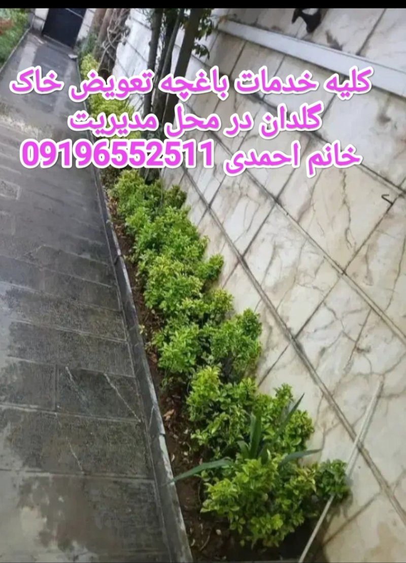 عکس پست