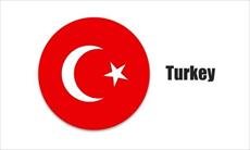 جزوه آموزشی ۱۵۰ واژه پرکاربرد زبان ترکی استانبولی در قالب PDF