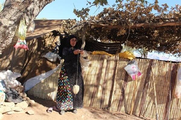 عشایر میان کوچ و بروکراسی ؛ قوانین دست‌وپاگیر بر سر راه زندگی