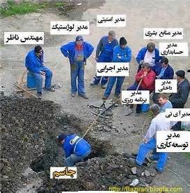 بهرهوری