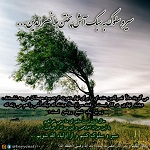 وفسی vafsi. حامد وفسی ایت الله وفسی استاد وفسی, tsd ,استاد ایت الله وفسی , ویکی پدیا وفسی , وفسی کیست ,ایت الله وفسی  کیست,bayyenat,bayenat,vafsi,استاد اخلاق تهران