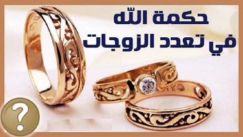 تعدد زوجات وفسی vafsi. حامد وفسی ایت الله وفسی استاد وفسی, tsd ,استاد ایت الله وفسی , ویکی پدیا وفسی , وفسی کیست ,ایت الله وفسی کیست,bayyenat,bayenat,vafsi,استاد اخلاق تهران