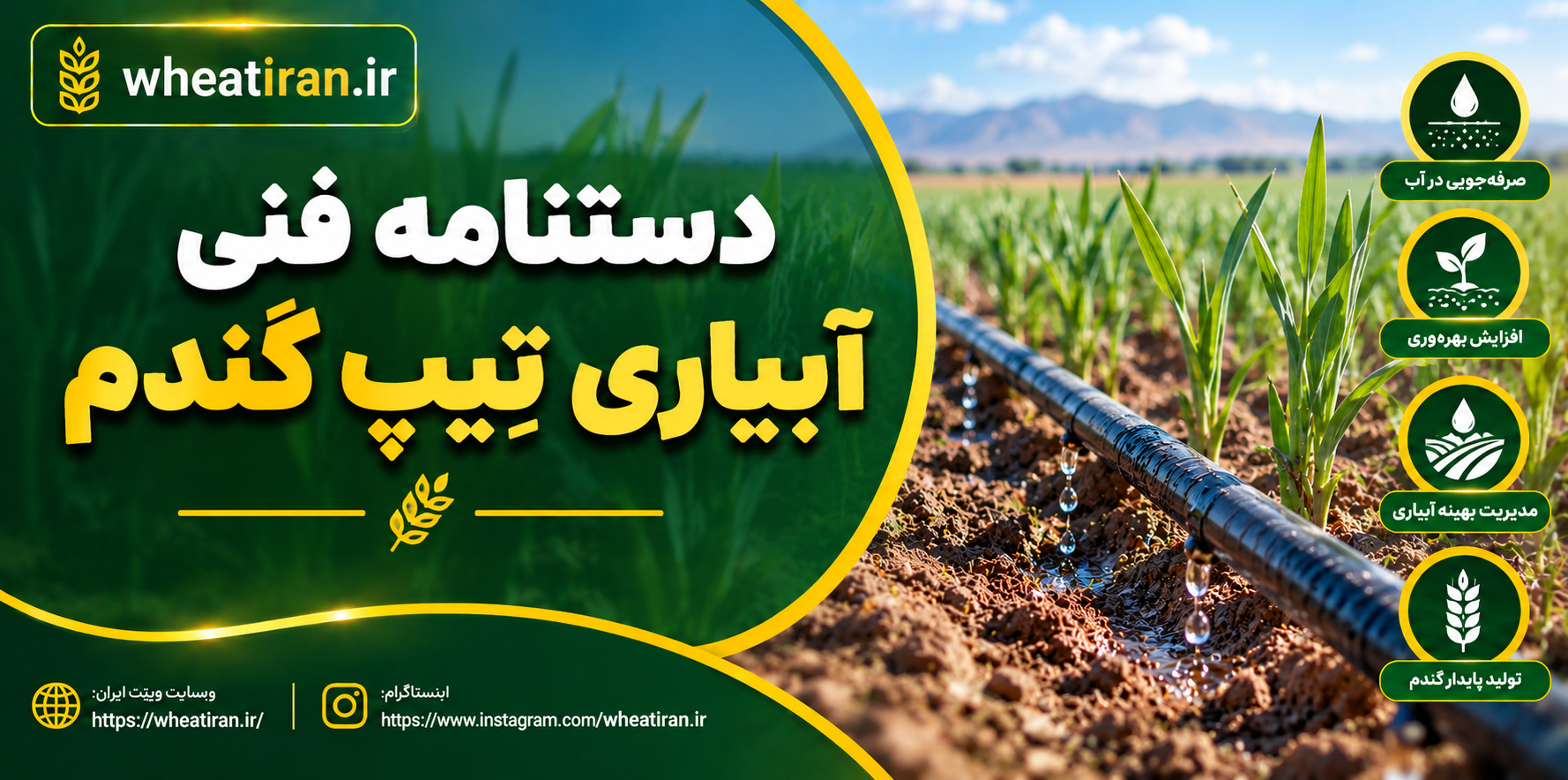 دستنامه فنی آبیاری تیپ گندم