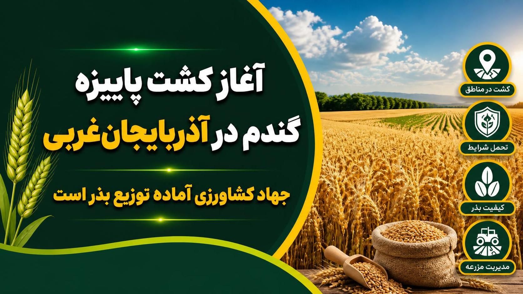 آغاز کشت پاییزه گندم در آذربایجان‌غربی/ جهاد کشاورزی آماده توزیع بذر است