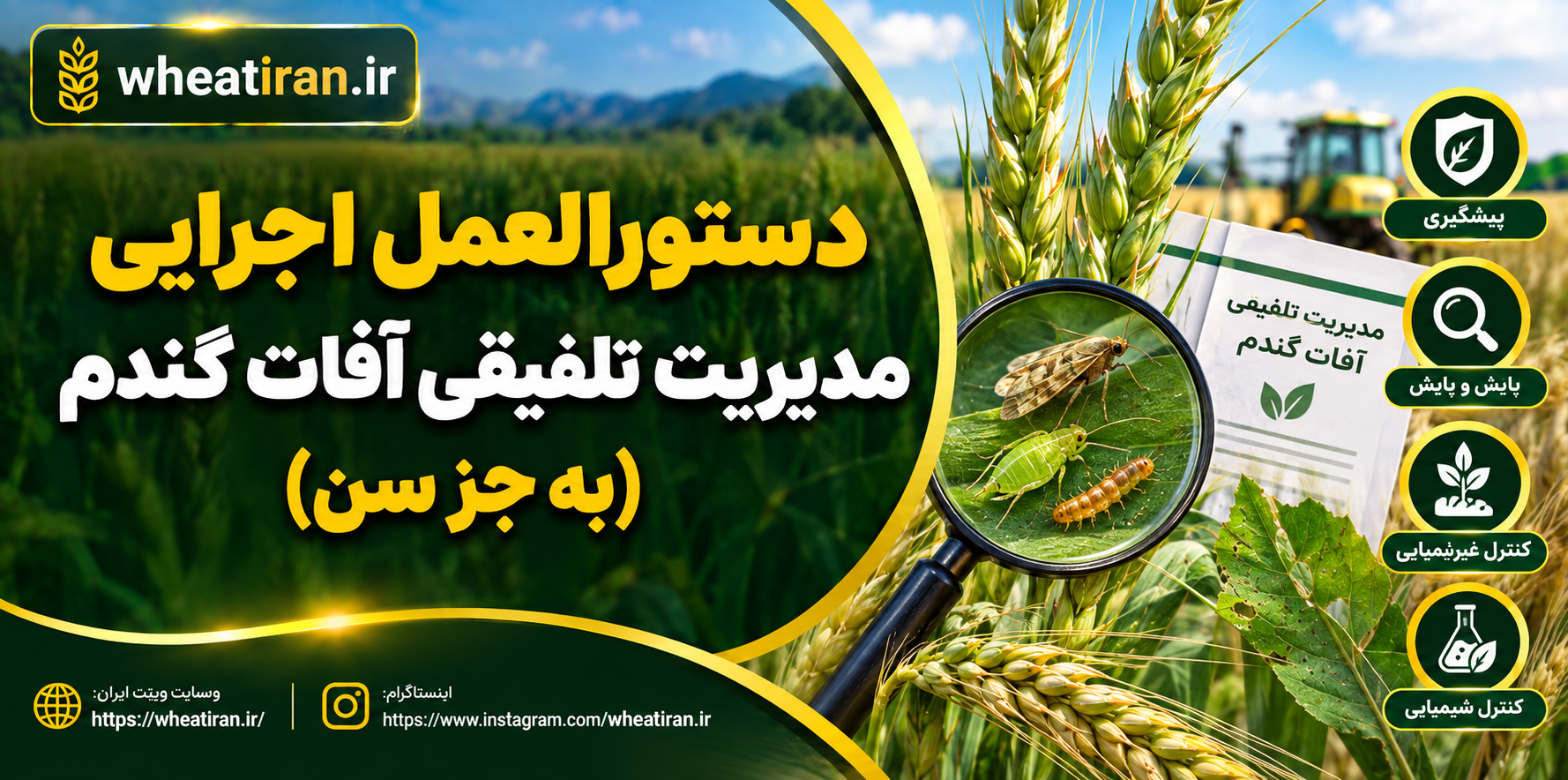 دستورالعمل اجرايي مديريت تلفیقي آفات گندم (به جز سن)