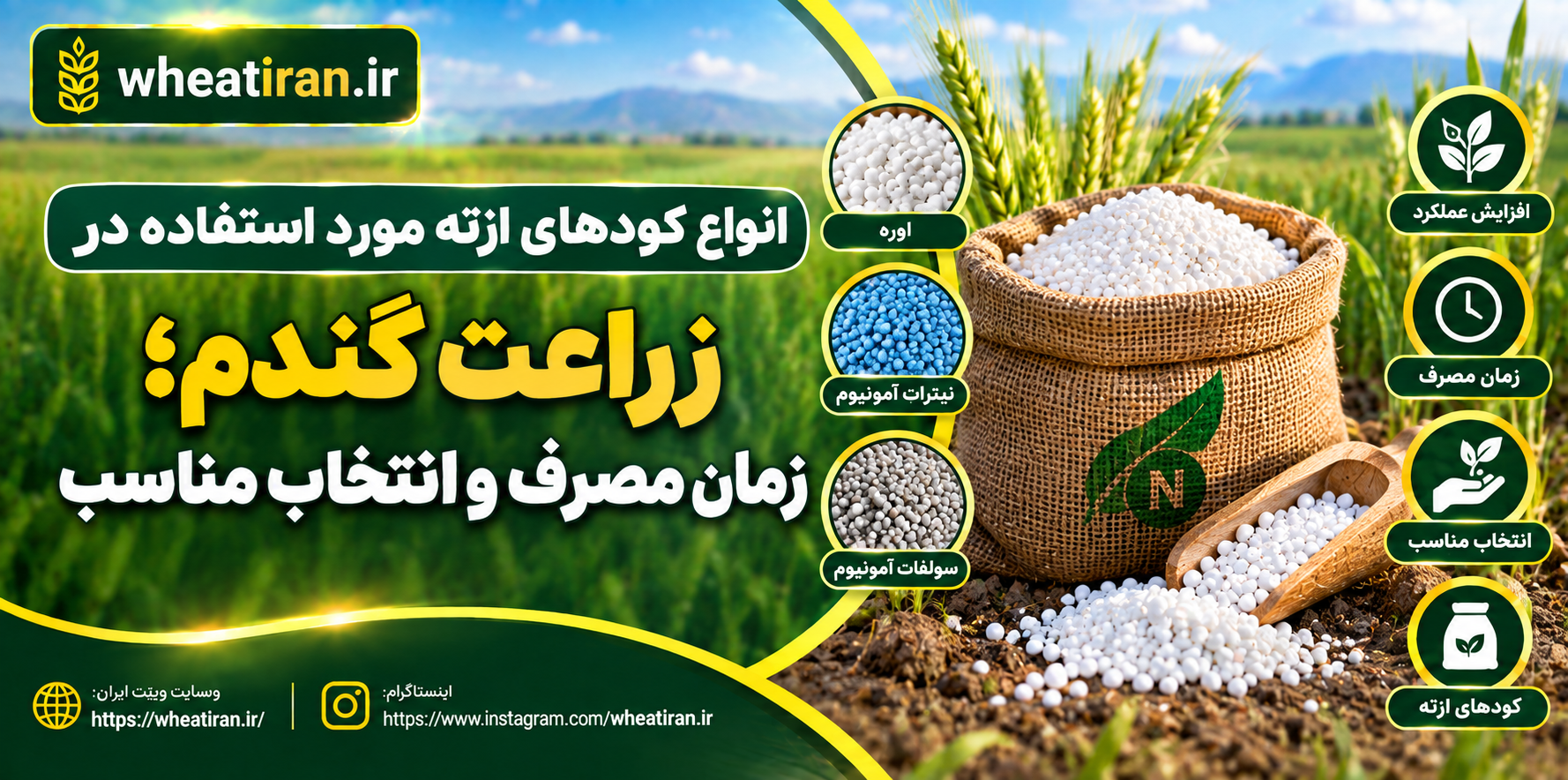 انواع کودهای ازته مورد استفاده در زراعت گندم؛ زمان مصرف و انتخاب مناسب