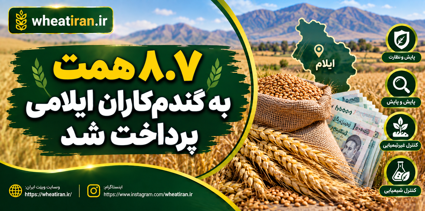 ۸.۷ همت به گندم‌کاران ایلامی پرداخت شد