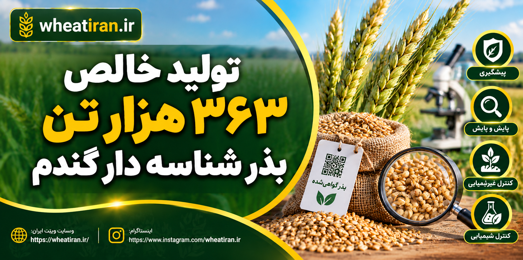تولید خالص۳۶۳ هزار تن بذر شناسه دار گندم