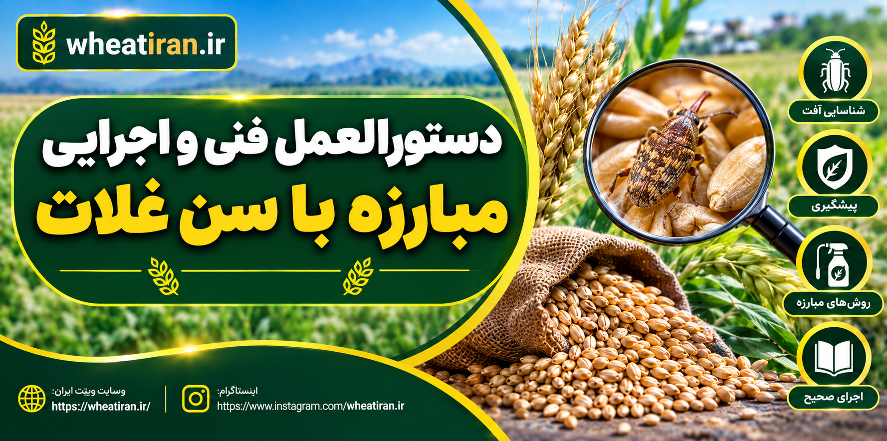 دستورالعمل فنی و اجرایی مبارزه با سن غلات