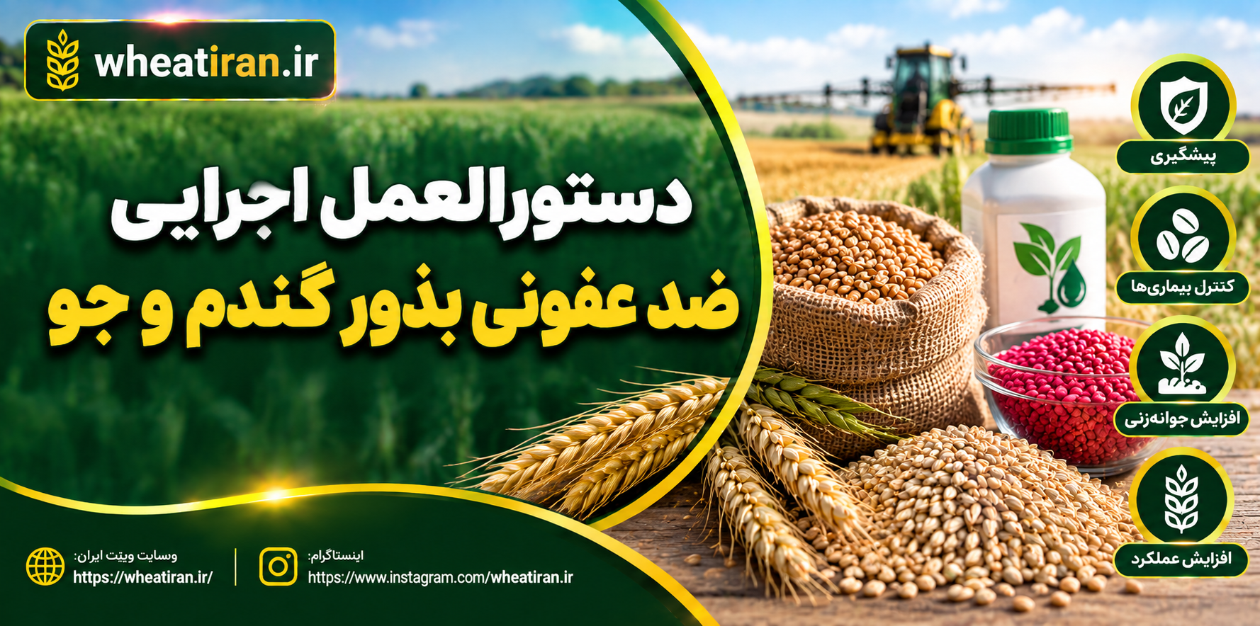دستورالعمل اجرایی ضد عفونی بذور گندم و جو