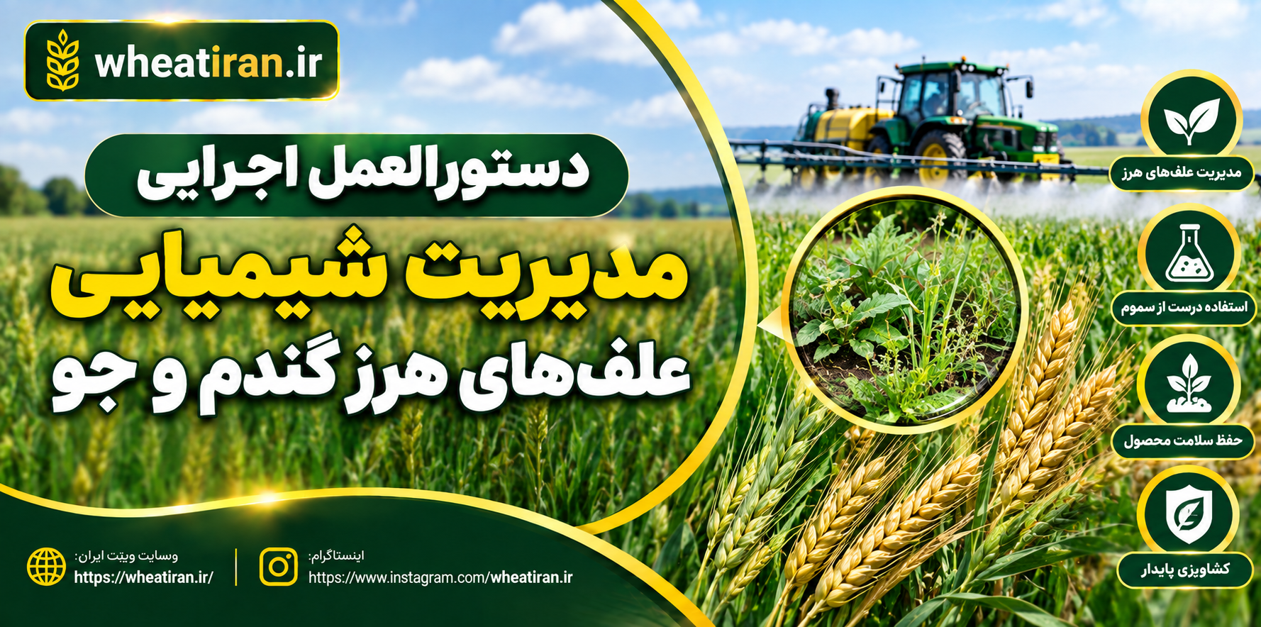دستورالعمل اجرایی مدیریت شیمیایی علف‌های هرز گندم و جو