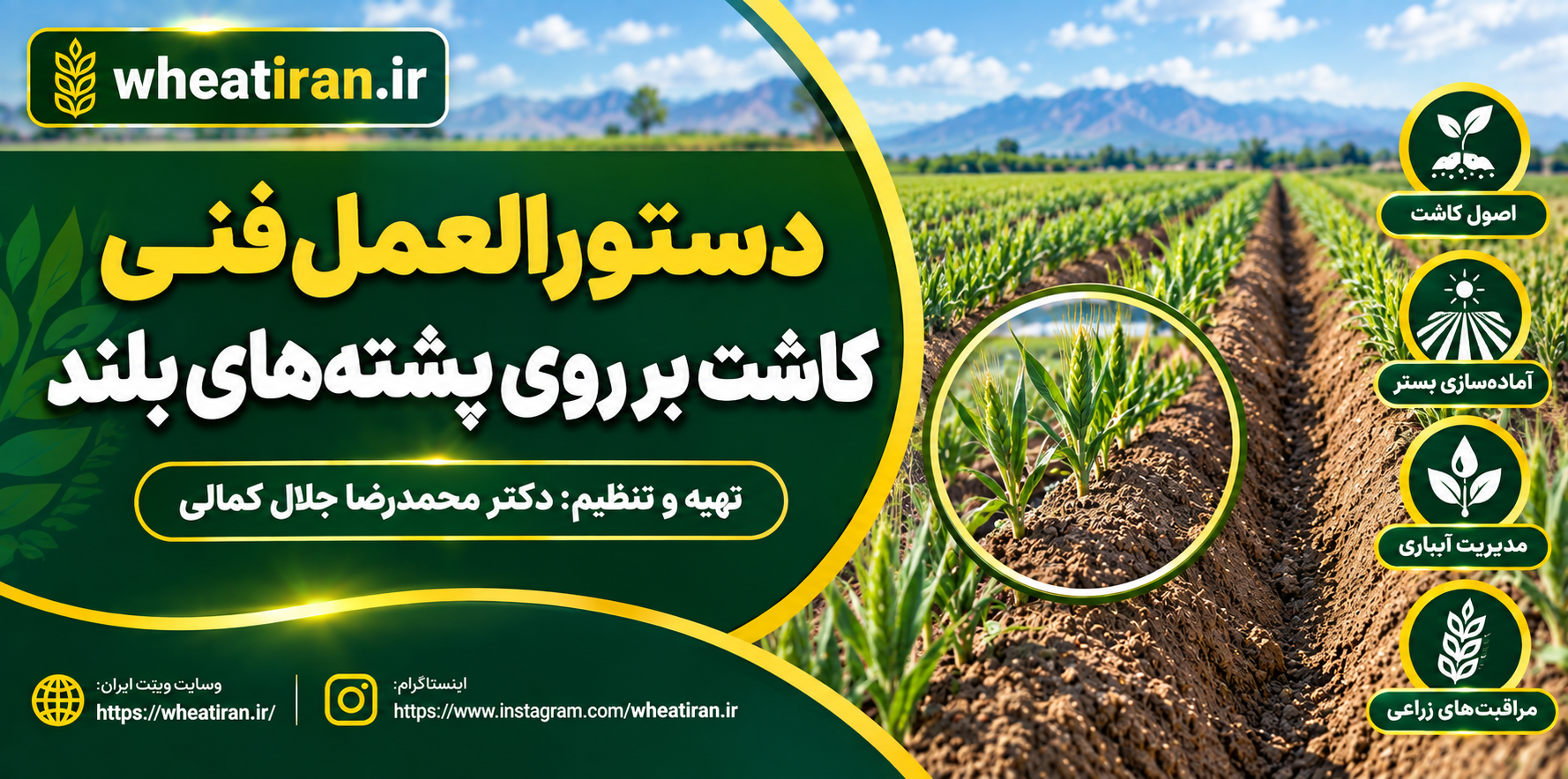دستورالعمل‌فنی کاشت بر روی پشته های بلند
