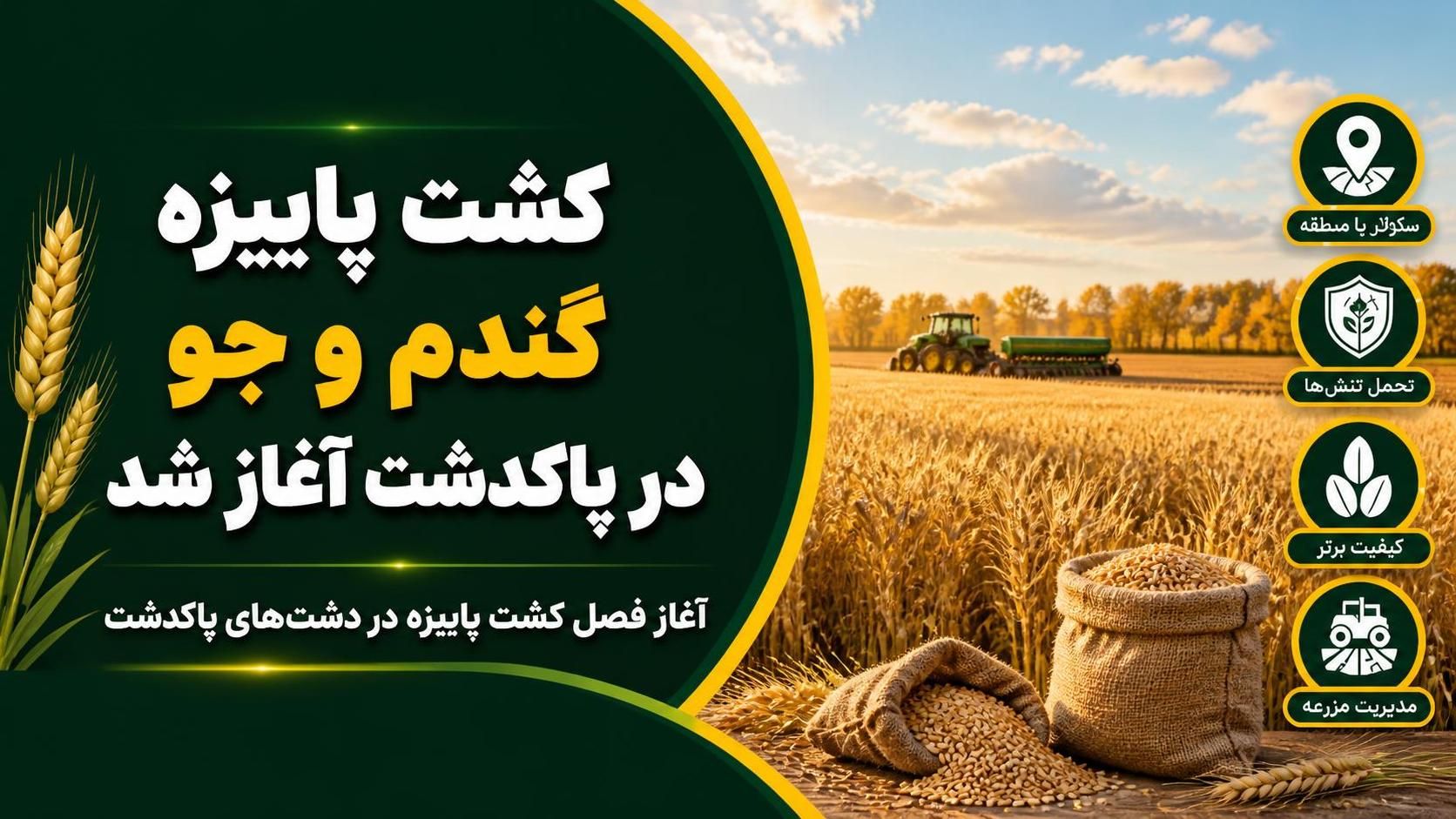 کشت پاییزه گندم و جو در پاکدشت