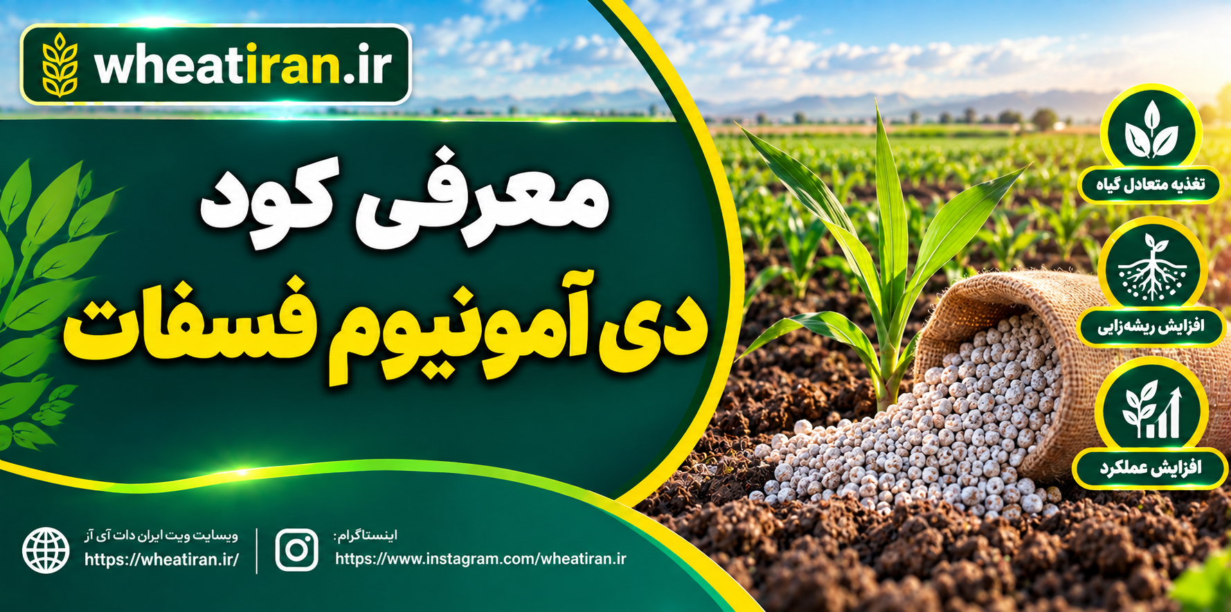 معرفی کود دی آمونیوم فسفات