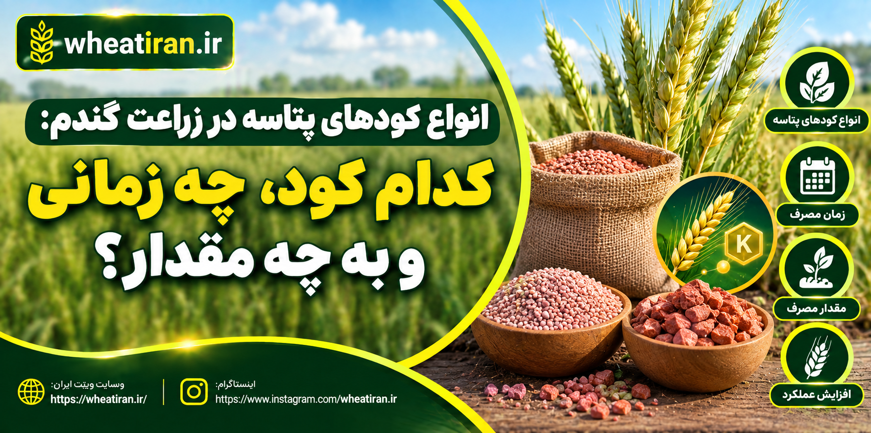 انواع کودهای پتاسه در زراعت گندم؛ کدام کود، چه زمانی و به چه مقدار؟