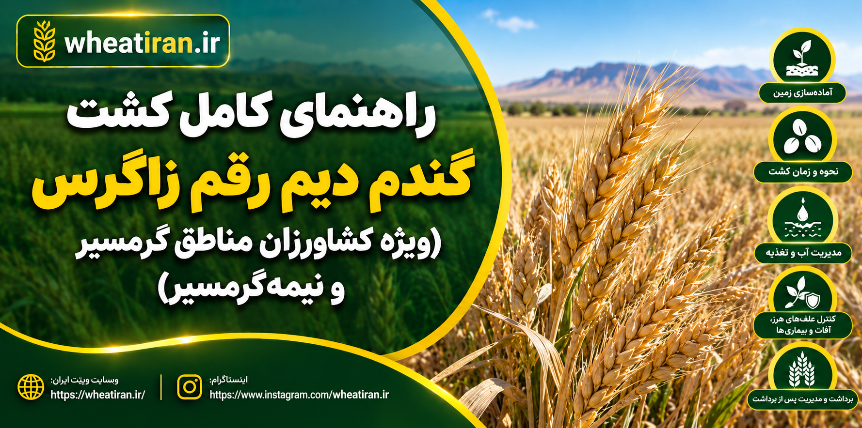 راهنمای کامل کشت گندم دیم رقم زاگرس (ویژه کشاورزان مناطق گرمسیر و نیمه‌گرمسیر)
