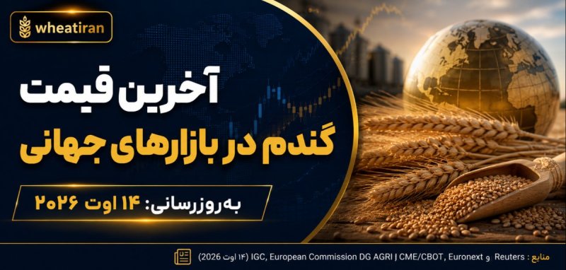 🌾 آخرین قیمت گندم در بازارهای جهانی/به‌روزرسانی: ۱۴ اوت ۲۰۲۶