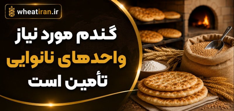گندم نانوایی‌ها تا پایان سال تأمین است؛ پشتوانه ۷ میلیون تنی خرید تضمینی برای امنیت نان
