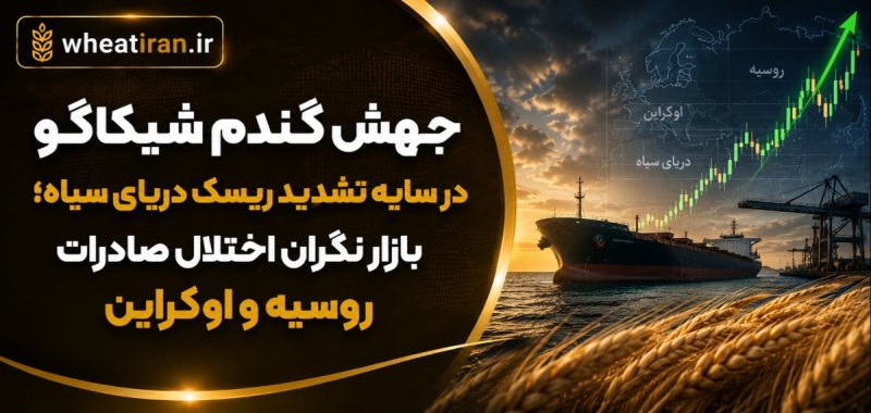 جهش گندم شیکاگو در سایه تشدید ریسک دریای سیاه؛ بازار نگران اختلال صادرات روسیه و اوکراین