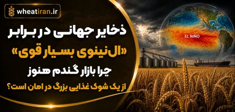 ذخایر جهانی در برابر «ال‌نینوی بسیار قوی»؛ چرا بازار گندم هنوز از یک شوک غذایی بزرگ در امان است؟