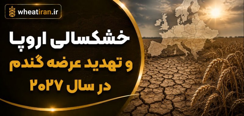 گزارش تخصصی: خشکسالی اروپا و تهدید عرضه گندم در سال ۲۰۲۷