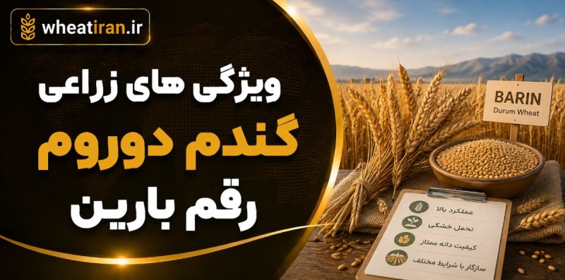 عکس پست