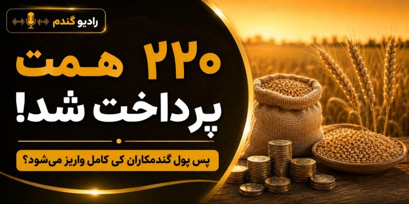 پول گندمکاران کی کامل واریز می شود؟