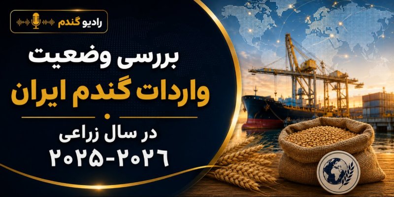 بررسی وضعیت واردات گندم ایران در سال زراعی ۲۰۲۶-۲۰۲۵