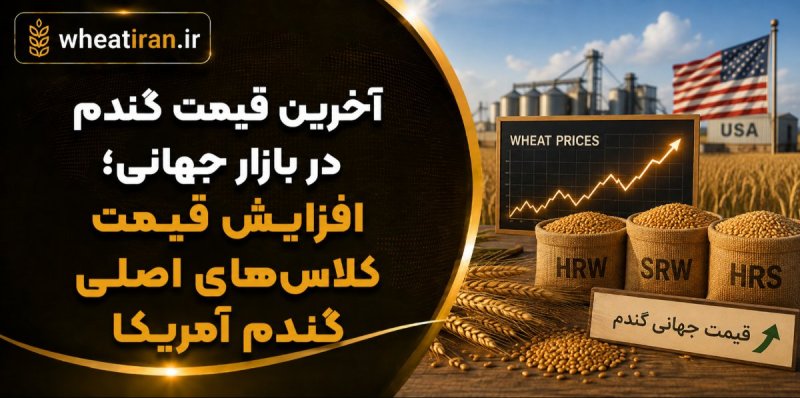 آخرین قیمت گندم در بازار جهانی؛ افزایش قیمت کلاس‌های اصلی گندم آمریکا