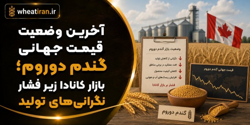 آخرین وضعیت قیمت جهانی گندم دوروم؛ بازار کانادا زیر فشار نگرانی‌های تولید