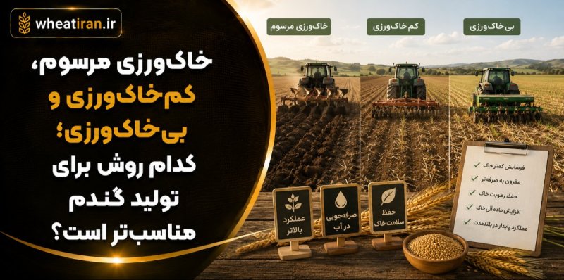 خاک‌ورزی مرسوم، کم‌خاک‌ورزی و بی‌خاک‌ورزی؛ کدام روش برای تولید گندم مناسب‌تر است؟