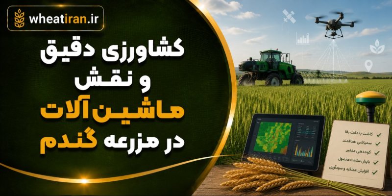 کشاورزی دقیق و نقش ماشین‌آلات در مزرعه گندم