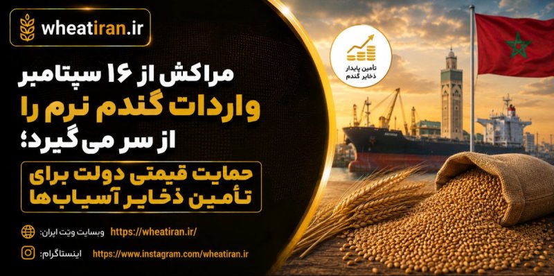 مراکش از ۱۶ سپتامبر واردات گندم نرم را از سر می‌گیرد؛ حمایت قیمتی دولت برای تأمین ذخایر آسیاب‌ها