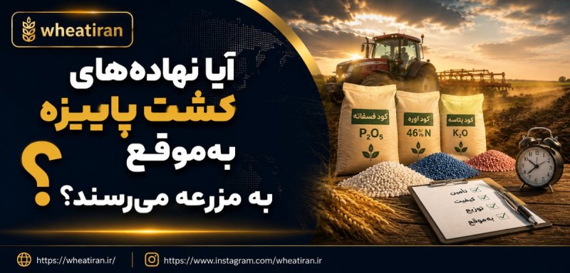 آیا نهاده‌های مورد نیاز گندمکاران، فقط تأمین شده‌اند؛ یا واقعاً به‌موقع به مزرعه می‌رسند؟