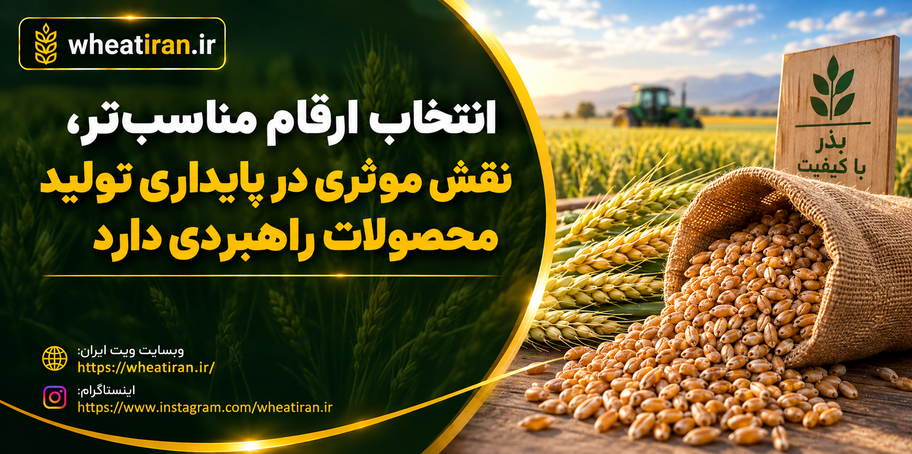انتخاب ارقام مناسب‌تر، نقش موثری در پایداری تولید محصولات راهبردی خوزستان دارد