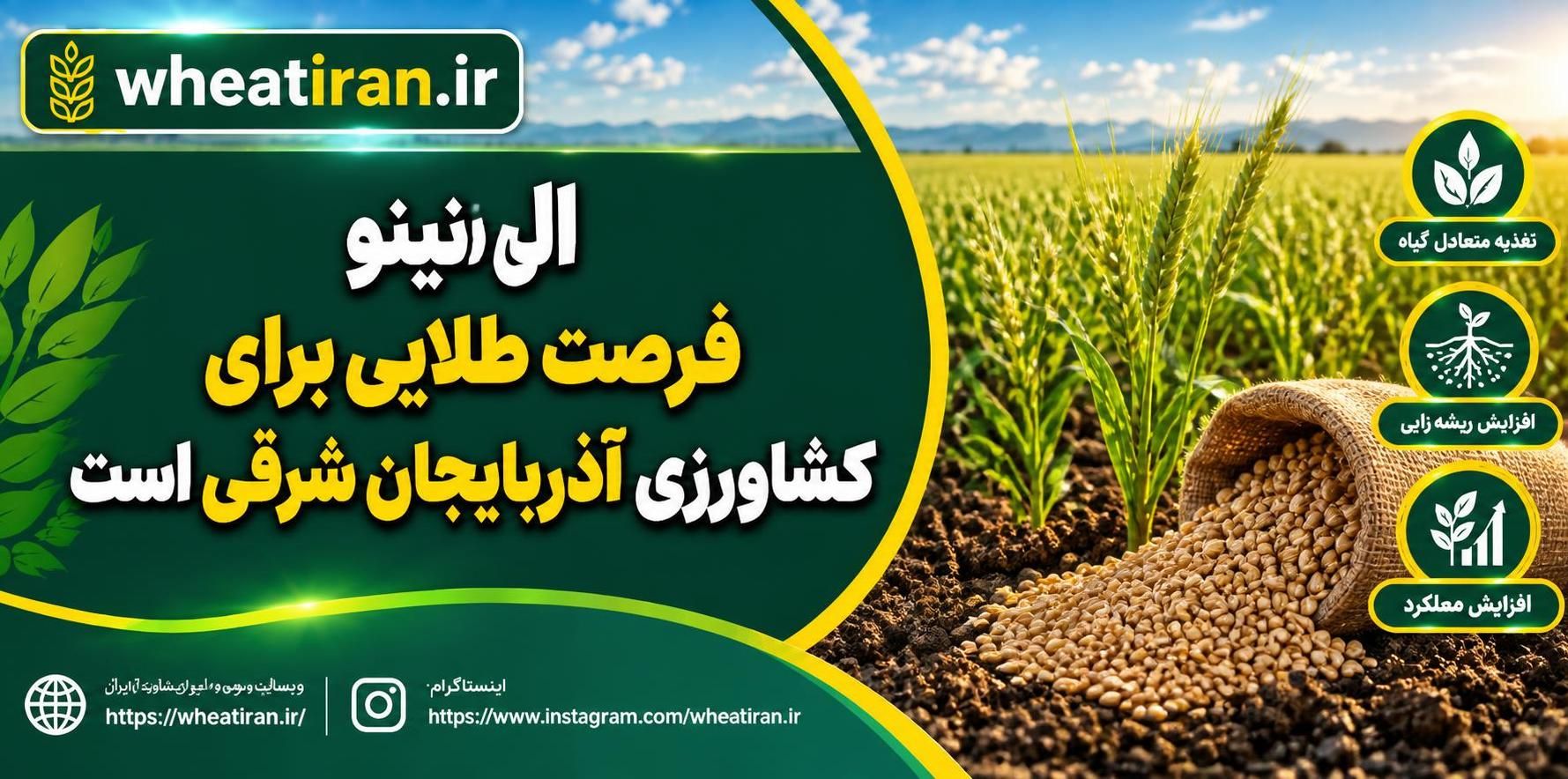 ال‌نینو فرصت طلایی برای کشاورزی آذربایجان شرقی است