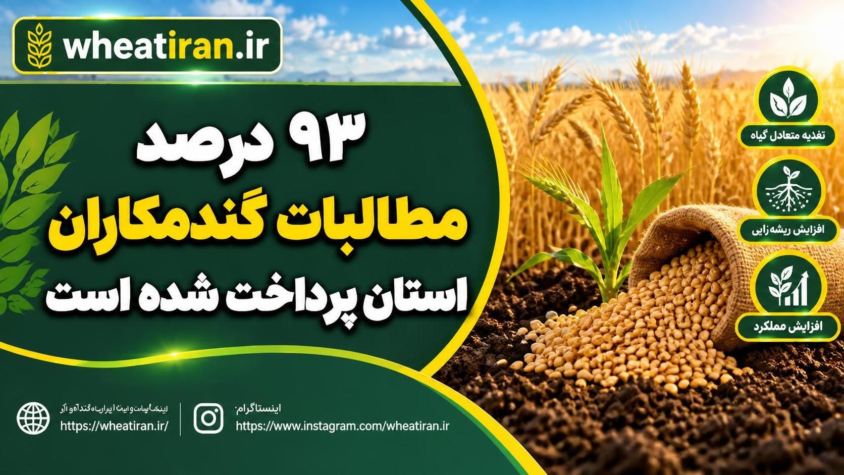 ۹۳ درصد مطالبات گندمکاران استان پرداخت شده است