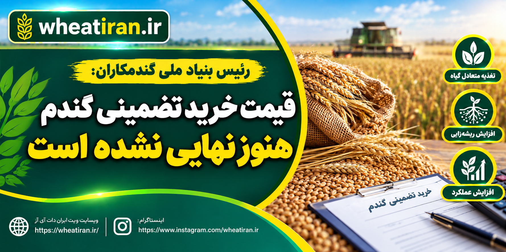 قیمت‌ خرید تضمینی گندم هنوز نهایی نشده است