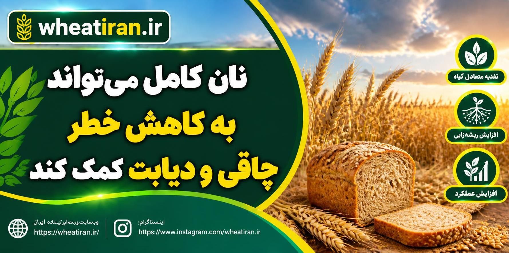 نان کامل می‌تواند به کاهش خطر چاقی و دیابت کمک کند